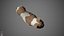 French Bulldog Real-Time
