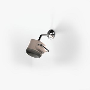 Showerhead