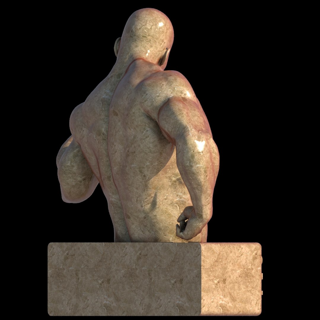 Body Builder 3D Model - TurboSquid 1207755