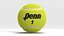 Penn Tennis Ball