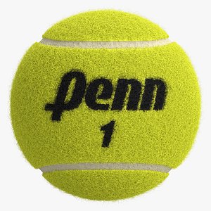 Penn Tennis Ball