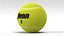 Penn Tennis Ball
