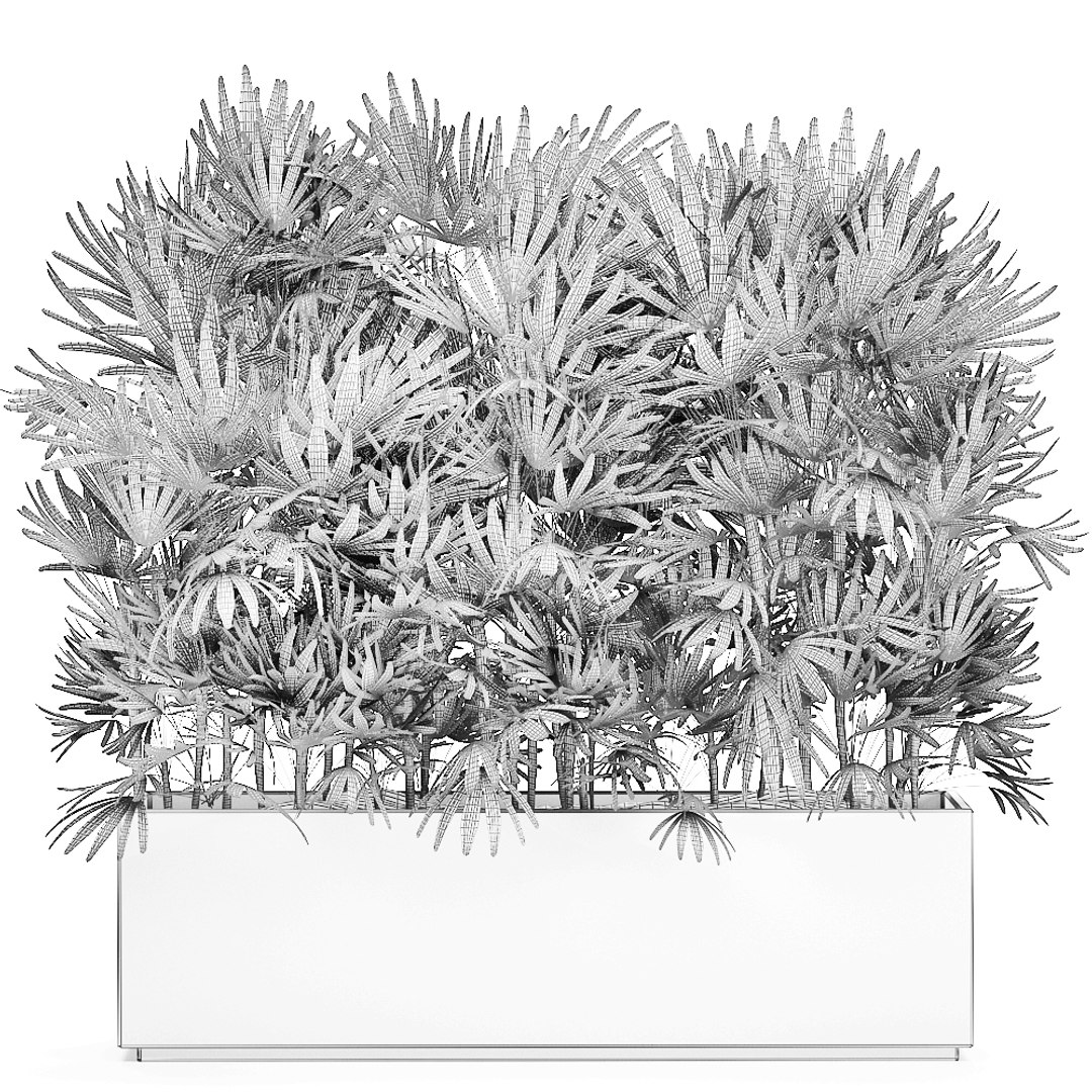 3D decorative plants black pots https://p.turbosquid.com/ts-thumb/cO/jb9cor/XRiPiZlS/rhapis2004202009/jpg/1587474490/1920x1080/fit_q87/4a3668f7a4bb9525e31617cbbf6729c459047d99/rhapis2004202009.jpg