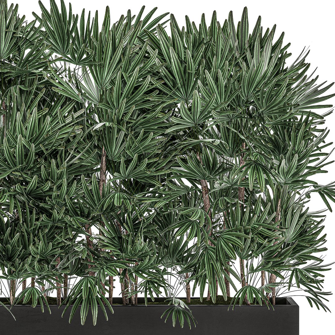 3D decorative plants black pots https://p.turbosquid.com/ts-thumb/cO/jb9cor/ko55Fbqa/rhapis2004202002/jpg/1587474490/1920x1080/fit_q87/77a31c0698cd4bf734052e2eb014339ca56e0dc9/rhapis2004202002.jpg