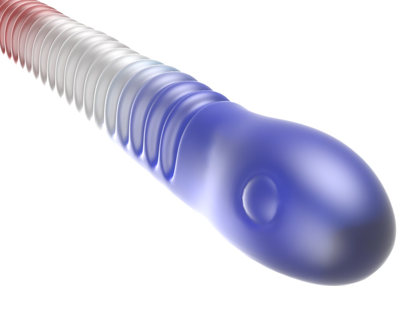3D gummy snake model https://p.turbosquid.com/ts-thumb/cO/lD2Fsx/ue/snakegummya.angle2.rgb_color_denoised/png/1604613196/1920x1080/fit_q87/961cea73f6bab423ef51aa6d5c4cc2de93058bfe/snakegummya.angle2.rgb_color_denoised.jpg