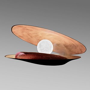 Clam