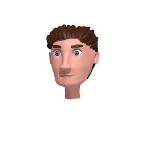 cartoon man head with 3 hair style 3D model