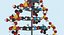 Modelo de exibição de DNA