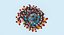 Modelo de exibição de DNA