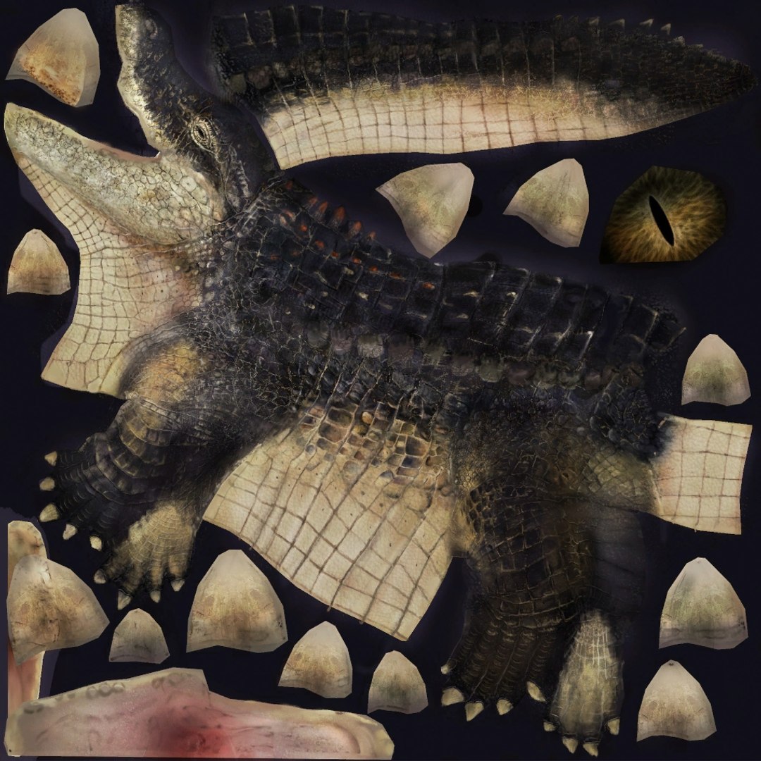 3D Alligator Attack https://p.turbosquid.com/ts-thumb/cP/1oA57G/sa/z01/jpg/1718561088/1920x1080/fit_q87/9fc54af960f834c1e9dec58e2639020fd99b362f/z01.jpg