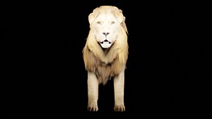 3D Lion for game model