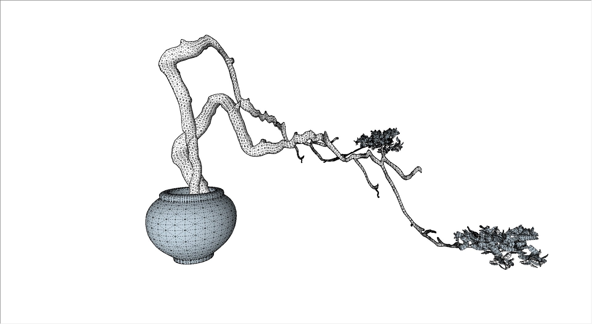Zen bonsai 3D model https://p.turbosquid.com/ts-thumb/cP/MSu3q2/HN/wire1/png/1688736259/1920x1080/fit_q87/402ad98c6090a87954a41e1931482955fba8e2fa/wire1.jpg