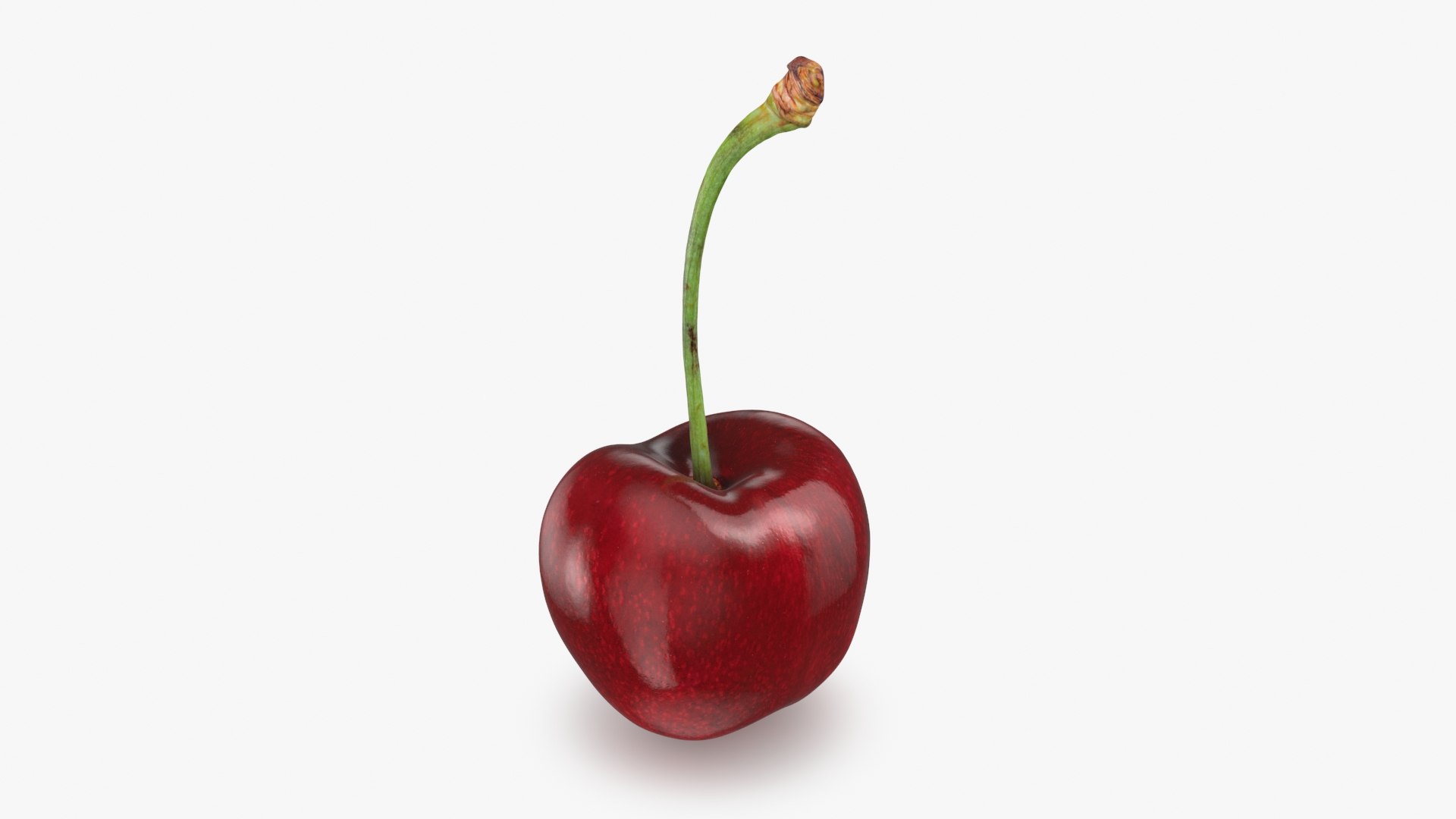 3D Berry Collection 1 https://p.turbosquid.com/ts-thumb/cP/dfsquh/F3/cherry01_a0001/jpg/1716628833/1920x1080/fit_q87/3c44bcfa40298399a400496a48818a0fd12e5292/cherry01_a0001.jpg