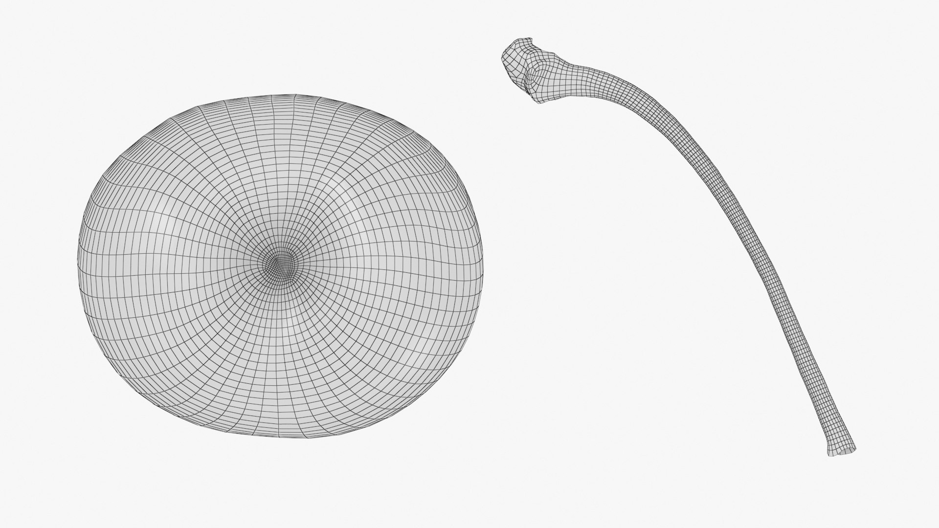 3D Cherry 01 https://p.turbosquid.com/ts-thumb/cP/dfsquh/GQ/cherry01_g0004/jpg/1708281564/1920x1080/fit_q87/2c39bc1ee8c294096418ba264f9c19605e706fa3/cherry01_g0004.jpg
