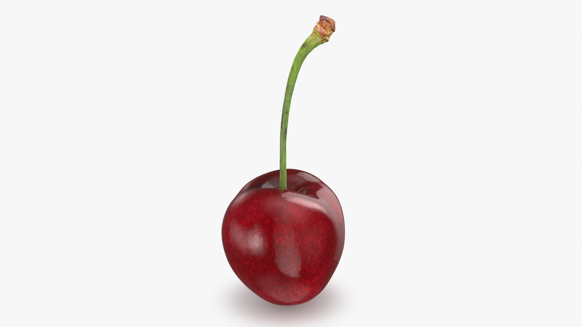 3D Cherry 01 https://p.turbosquid.com/ts-thumb/cP/dfsquh/YX/cherry01_b0016/jpg/1716628344/1920x1080/fit_q87/73affbb6f2826dd8896adabfef0376e8ee216a2c/cherry01_b0016.jpg