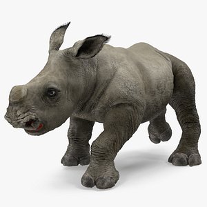 rhino baby walking pose 3D model
