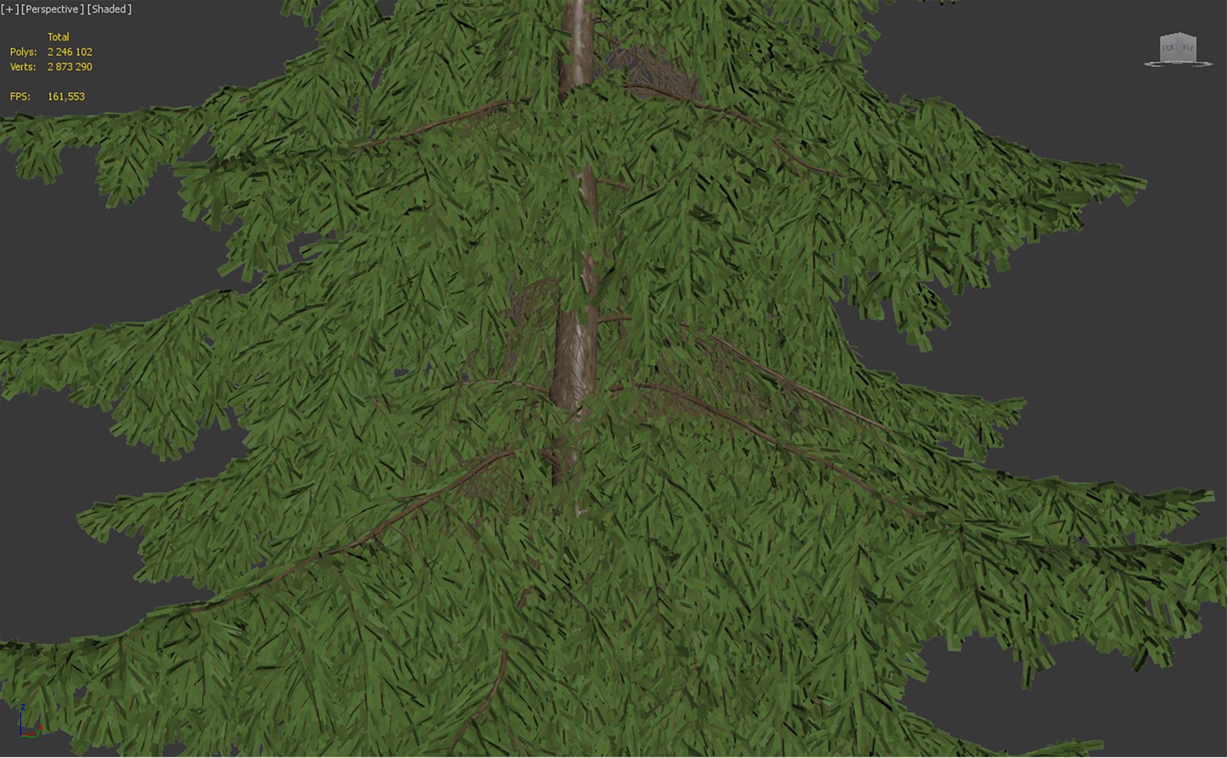 Spruce Tree Nature Model - TurboSquid 1694089