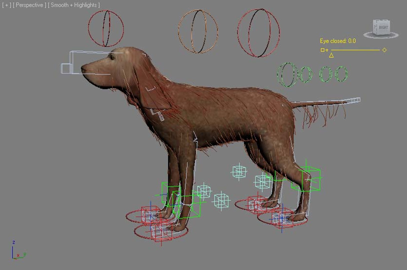 3d irish setter https://p.turbosquid.com/ts-thumb/cP/rD9olc/DvMgFgDa/interdace/jpg/1467721241/1920x1080/fit_q87/51757926749227fe3223f33097d9946ebf2f94f0/interdace.jpg