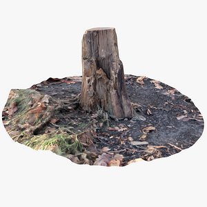oak stump 2 3D model