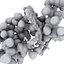 Enterococcus Bacteria Colony