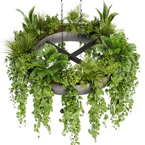 Collection plant vol 380 - pothos - hanging - ampelous - 3dmax - cinema 4d