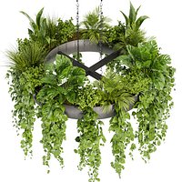Collection plant vol 380 - pothos - hanging - ampelous - 3dmax - cinema 4d