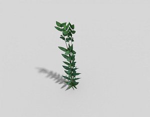 plant games 3d model