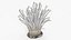 Enokitake