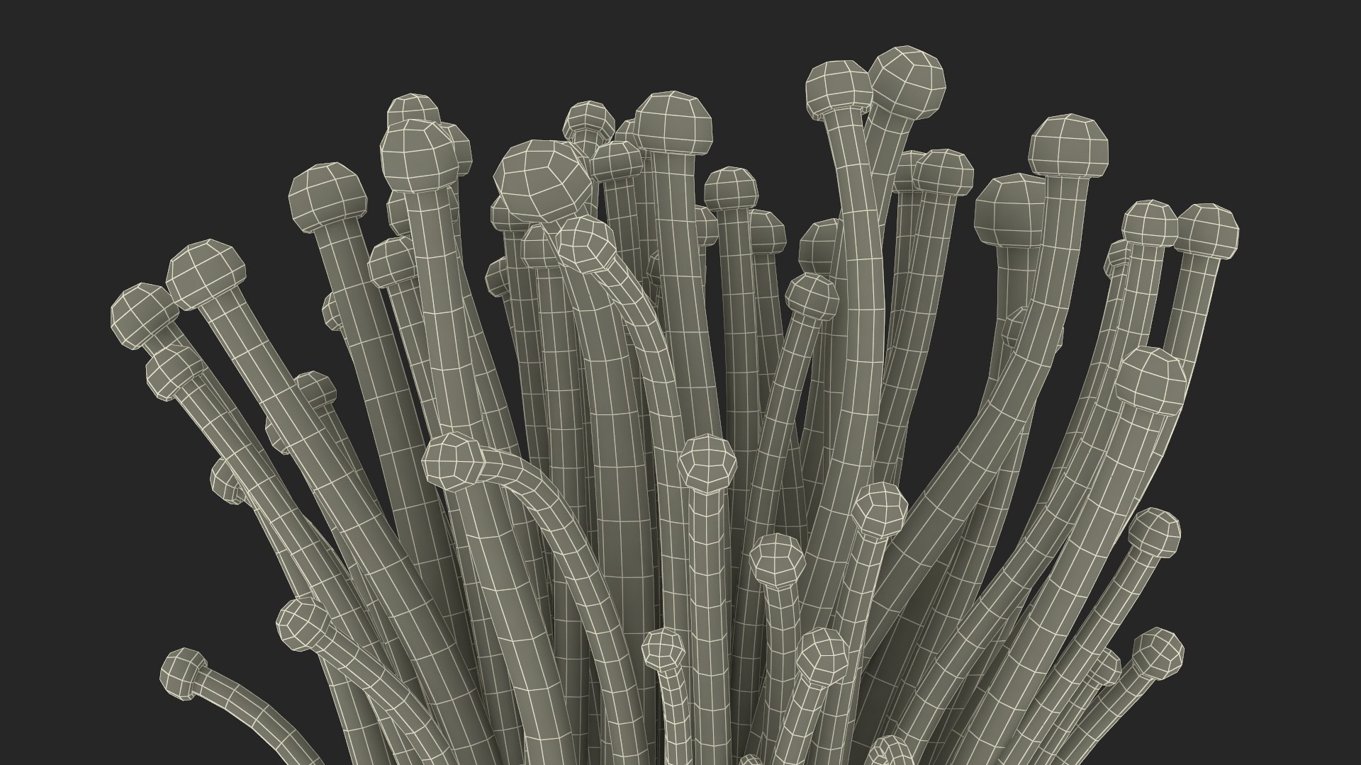 3D Enokitake model https://p.turbosquid.com/ts-thumb/cQ/MhavBY/2l/enokitakevray3dmodel024/jpg/1713313600/1920x1080/fit_q87/b8891044f0a53d1faac2c9374bea8030f0e249e6/enokitakevray3dmodel024.jpg