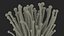 Enokitake
