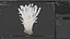 Enokitake