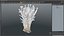 Enokitake