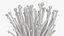 Enokitake