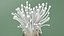Enokitake