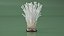 Enokitake