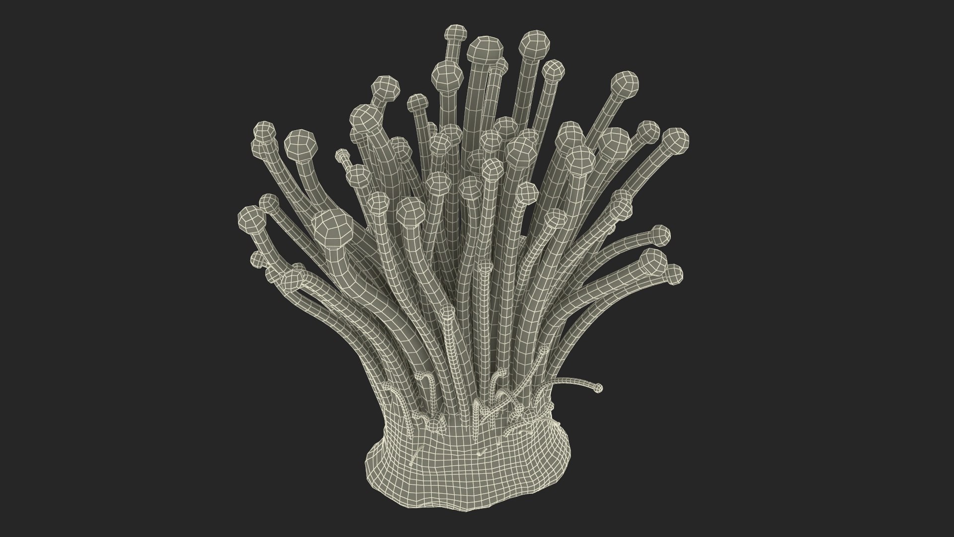 3D Enokitake model https://p.turbosquid.com/ts-thumb/cQ/MhavBY/OU/enokitakevray3dmodel027/jpg/1713313609/1920x1080/fit_q87/774a2bdd198afdd5c6d6609432a1c68a32f28229/enokitakevray3dmodel027.jpg