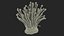 Enokitake