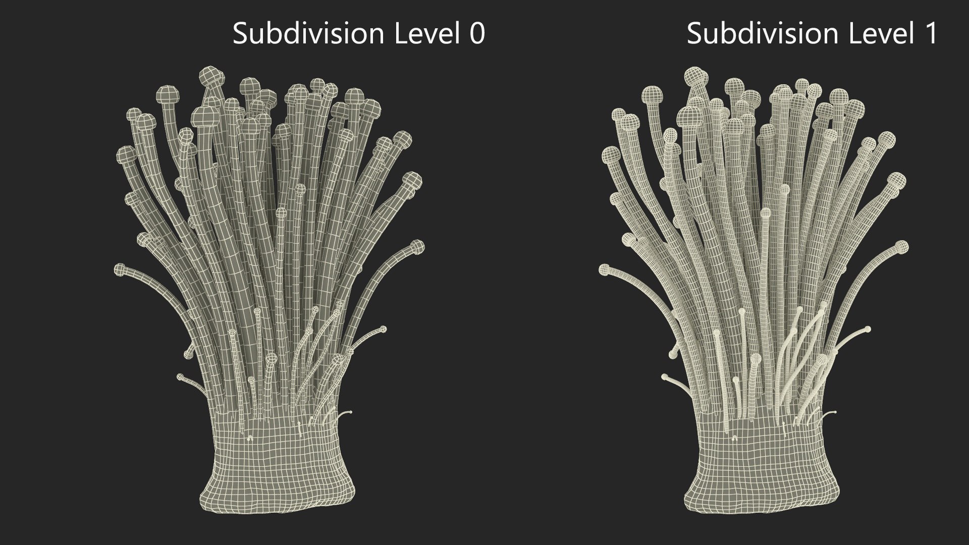 3D Enokitake model https://p.turbosquid.com/ts-thumb/cQ/MhavBY/PL/enokitakevray3dmodel015/jpg/1713313573/1920x1080/fit_q87/e7fe6da7be0f511995d3e8372efdff5b97f7a4e1/enokitakevray3dmodel015.jpg