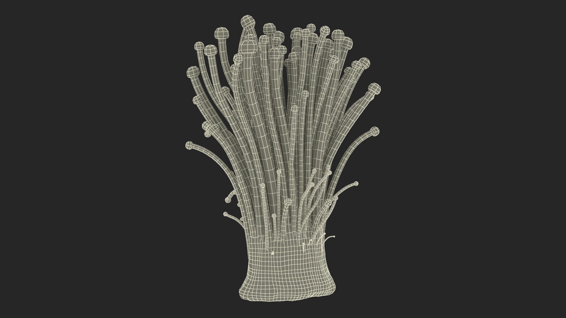 3D Enokitake model https://p.turbosquid.com/ts-thumb/cQ/MhavBY/fY/enokitakevray3dmodel023/jpg/1713313597/1920x1080/fit_q87/bfa4b5041b48bcb2543d543066e20cf8d09cba73/enokitakevray3dmodel023.jpg