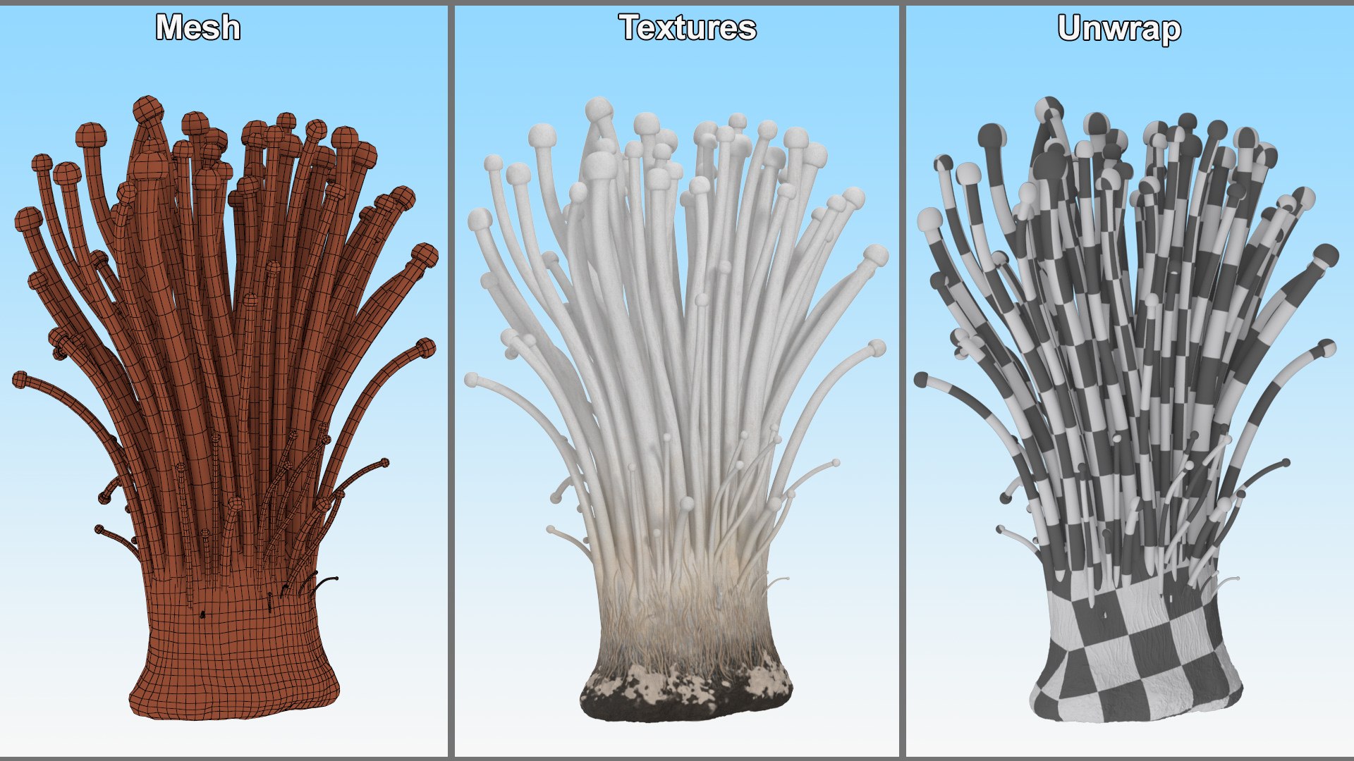 3D Enokitake model https://p.turbosquid.com/ts-thumb/cQ/MhavBY/mp/enokitakevray3dmodel014/jpg/1713313570/1920x1080/fit_q87/205b257fbb9b10e70383f9bc33df2944a4bf6128/enokitakevray3dmodel014.jpg