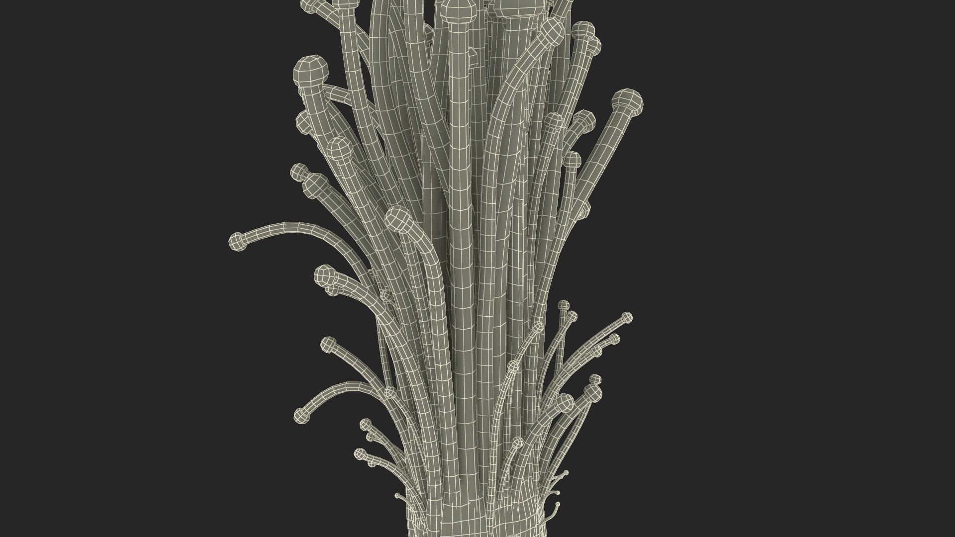 3D Enokitake model https://p.turbosquid.com/ts-thumb/cQ/MhavBY/pr/enokitakevray3dmodel028/jpg/1713313612/1920x1080/fit_q87/a46754a7ca16d1a280609f3c171c0c4ab069822a/enokitakevray3dmodel028.jpg