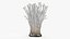 Enokitake