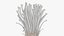 Enokitake