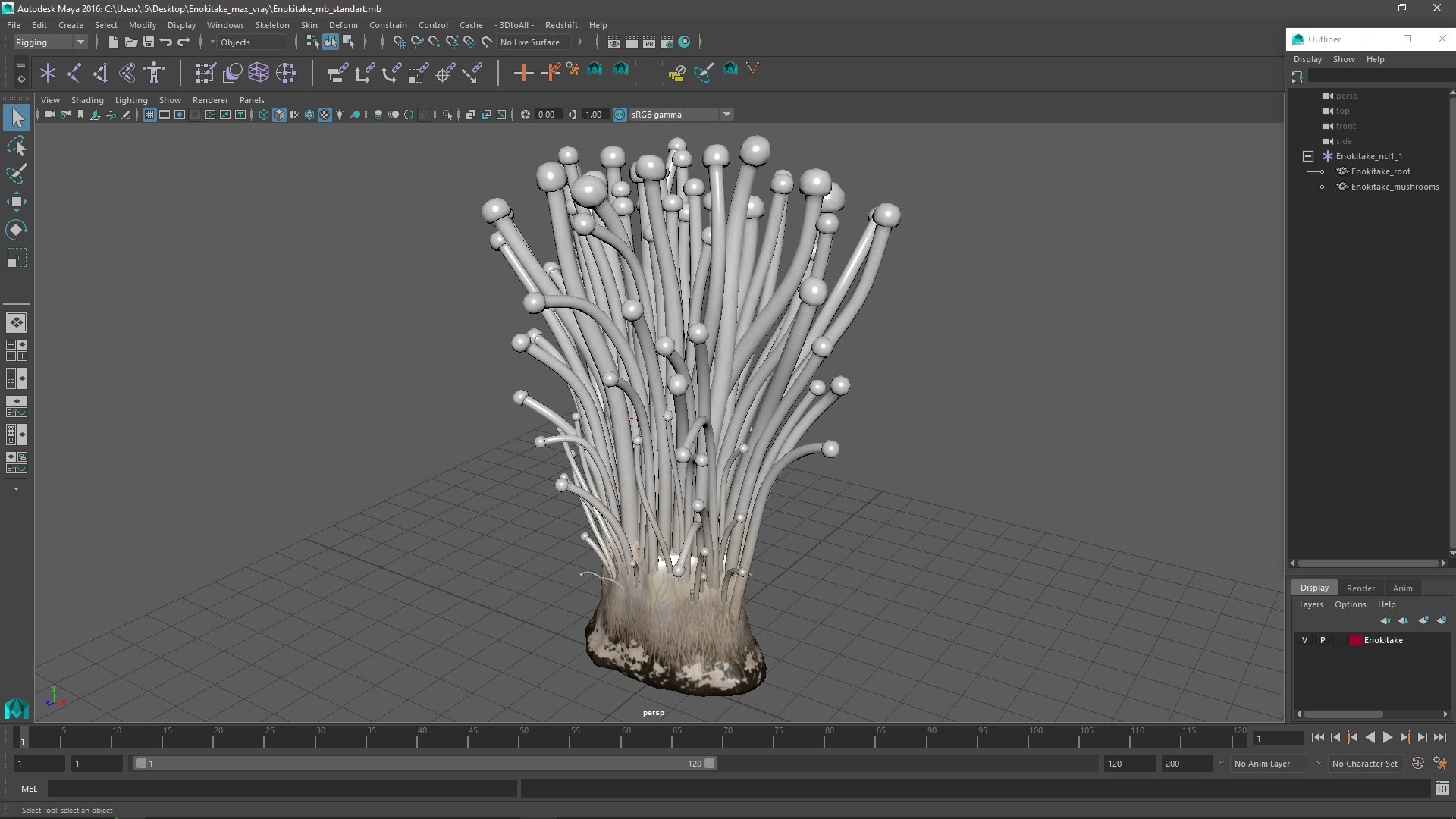 3D Enokitake model https://p.turbosquid.com/ts-thumb/cQ/MhavBY/vn/enokitakevray3dmodel022/jpg/1713313594/1920x1080/fit_q87/895c02b3a135283536cf0de69e126a14381c16f2/enokitakevray3dmodel022.jpg