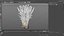 Enokitake