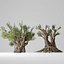 3D trees