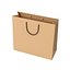 Paper Bag 5
