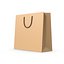 Paper Bag 5