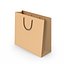 Paper Bag 5