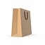 Paper Bag 5